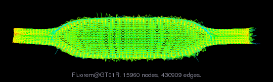 Fluorem/GT01R graph