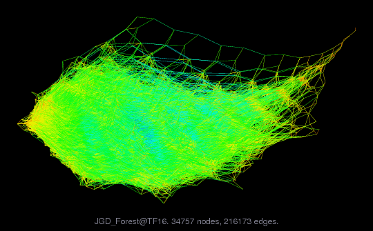 JGD_Forest/TF16 graph