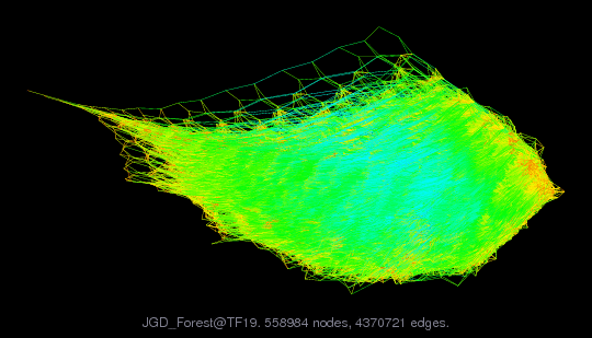 JGD_Forest/TF19 graph