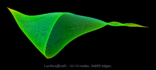 Lucifora/cell1 graph