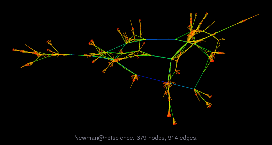 Newman/netscience graph